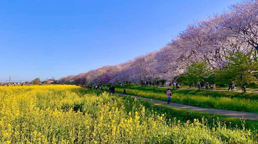 権現堂公園